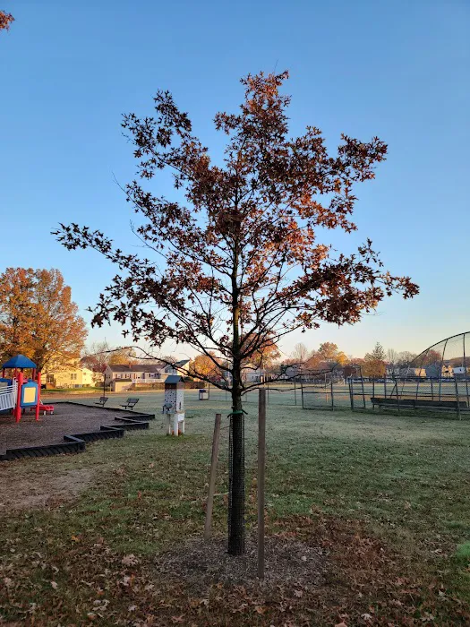 Brookdale Park Picture 6