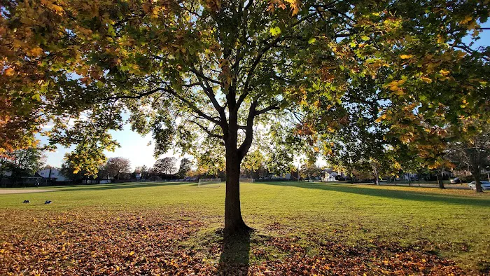 Brookdale Park Picture 9
