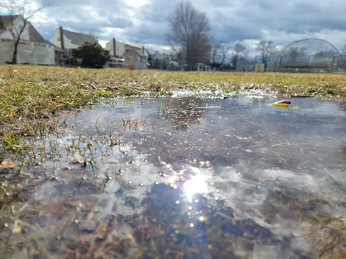 Brookdale Park Picture 1