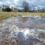 Brookdale Park