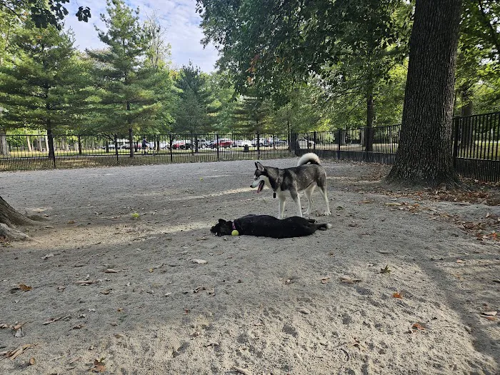 Ridgewood Dog Park Picture 6
