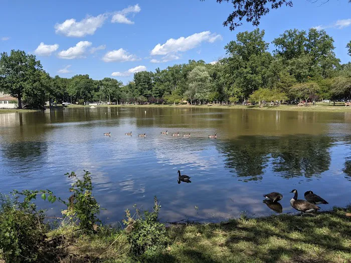 Ridgewood Dog Park Picture 4