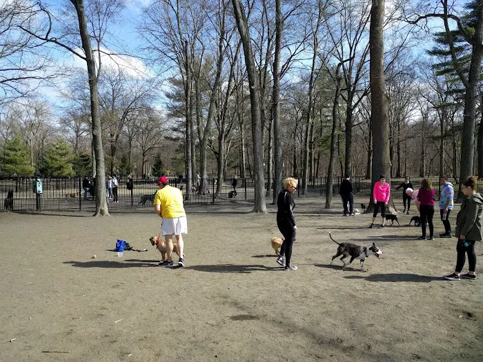 Ridgewood Dog Park Picture 3