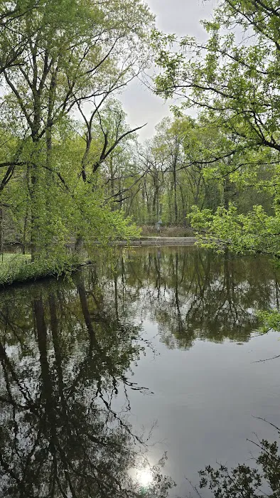 Saddle River County Park-Wild Duck Pond Area Picture 5