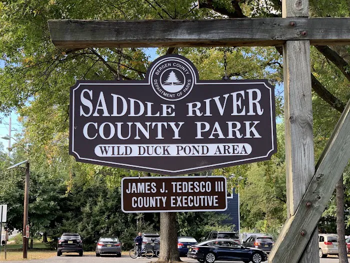Saddle River County Park-Wild Duck Pond Area Picture 8
