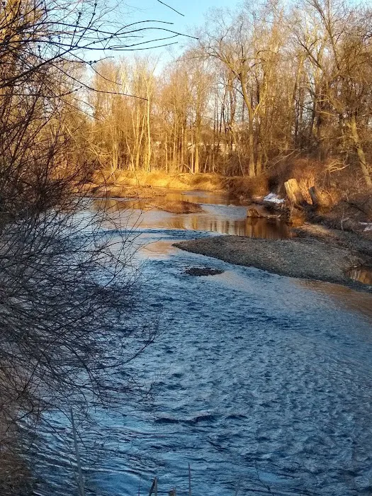 Saddle River County Park-Wild Duck Pond Area Picture 3