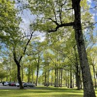 Saddle River County Park-Wild Duck Pond Area ico