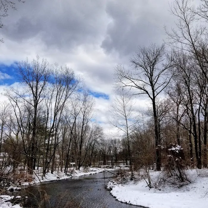 Saddle River County Park-Wild Duck Pond Area Picture 10
