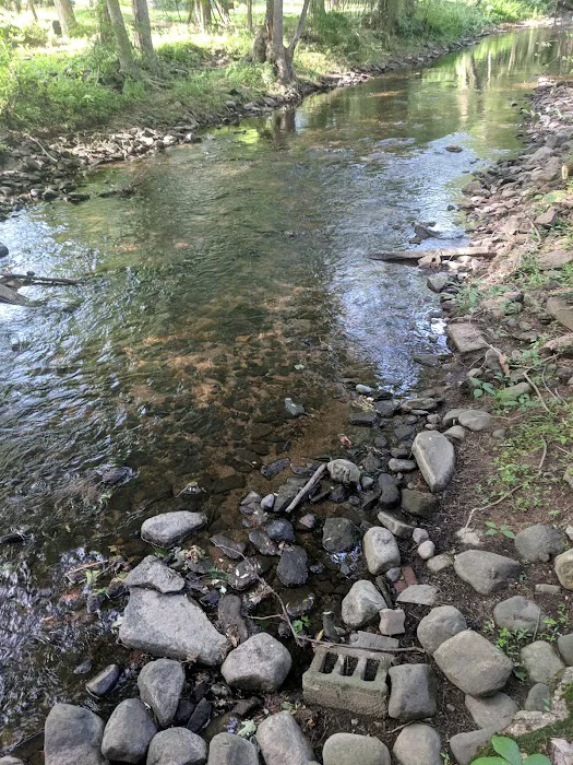 North Road Park Picture 6