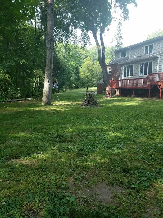 North Road Park Picture 7