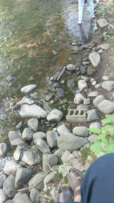 North Road Park Picture 1