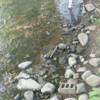 North Road Park ico
