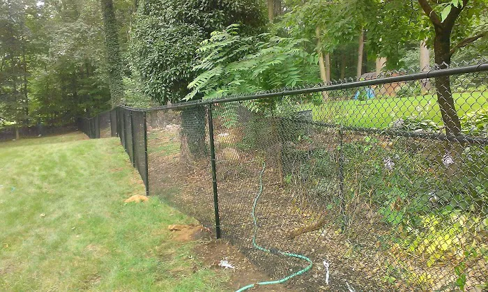 North Road Park Picture 10