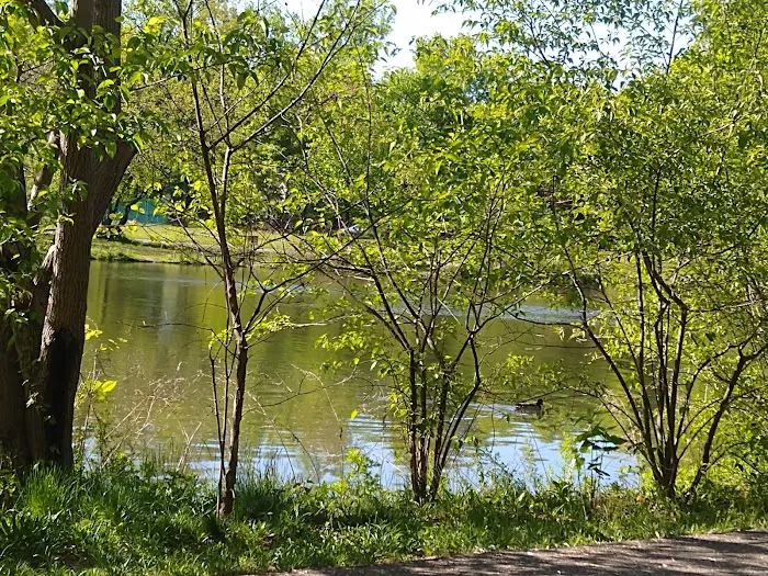 Glen Rock Duck Pond Picture 10
