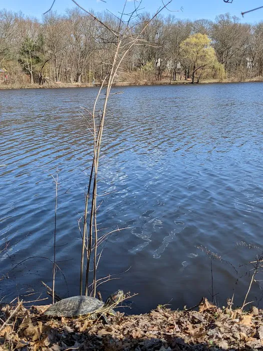 Glen Rock Duck Pond Picture 7