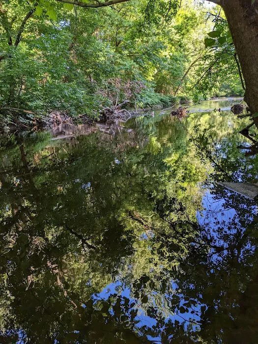Glen Rock Duck Pond Picture 8