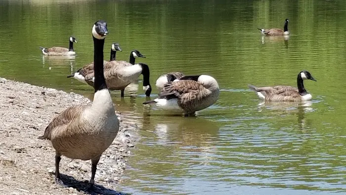 Glen Rock Duck Pond Picture 9