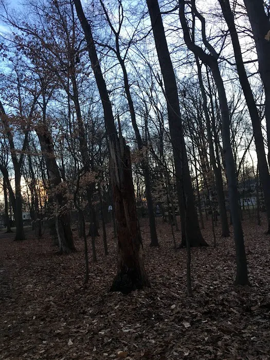 Sycamore Park Picture 1