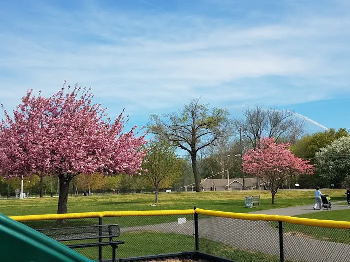 Veterans field Picture 5