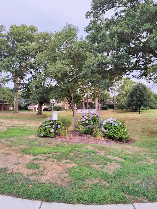 Leuning Park Picture 4