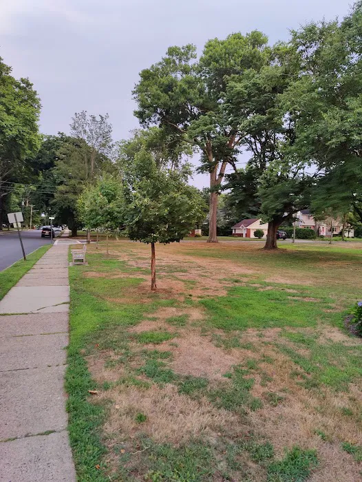 Leuning Park Picture 3