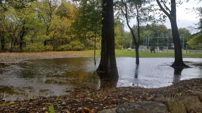 Leuning Park Picture 10