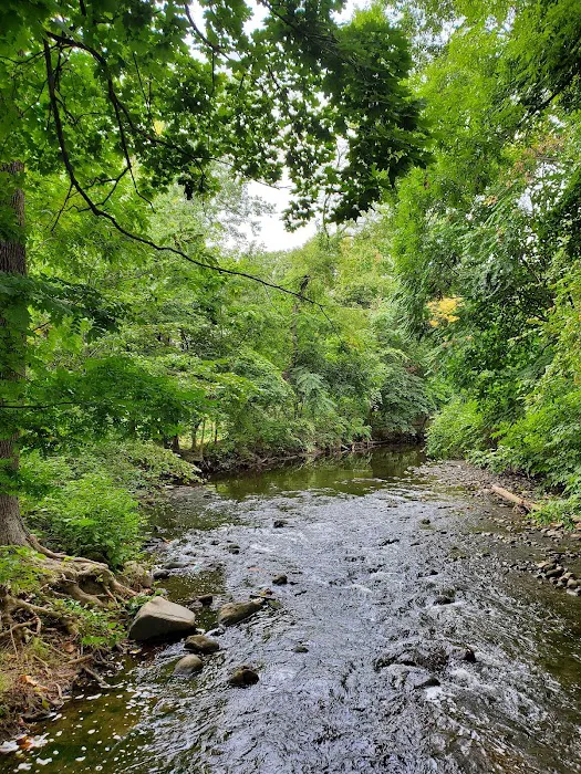 Graydon Park Picture 10