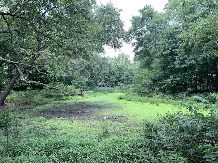 Twinney Pond Park Picture 1