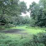 Twinney Pond Park