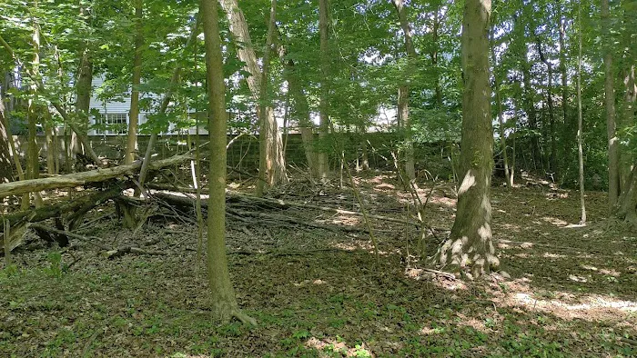 Twinney Pond Park Picture 8