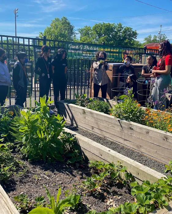 James J. Braddock Community Garden in North Bergen Picture 10