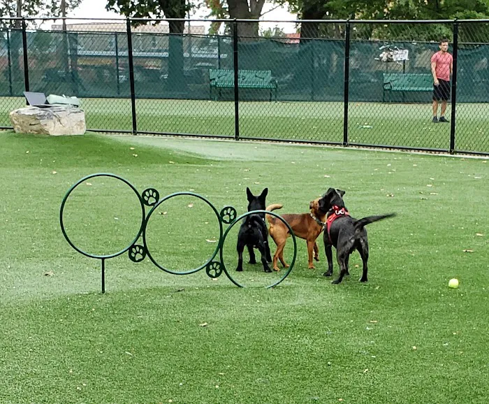 North Hudson County Park - Dog Park Picture 3