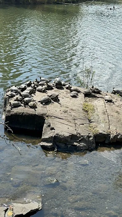North Hudson County Park - Dog Park Picture 1
