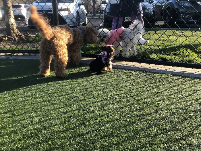 North Hudson County Park - Dog Park Picture 7