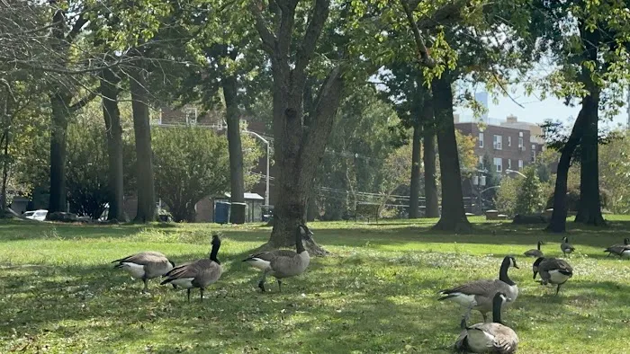 North Hudson County Park - Dog Park Picture 2
