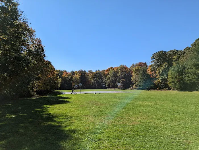Tennyson Park Picture 1