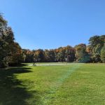 Tennyson Park