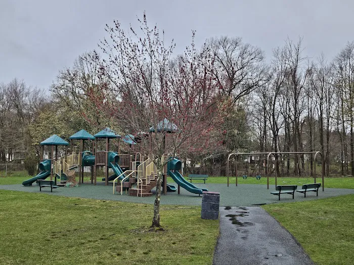 Tennyson Park Picture 10