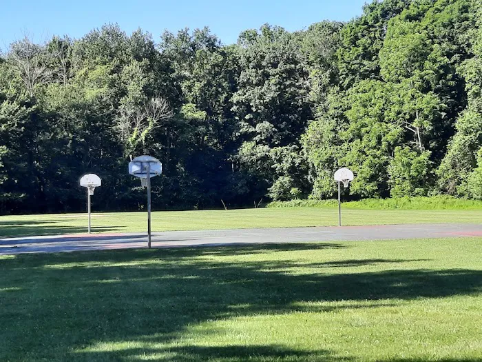 Tennyson Park Picture 4