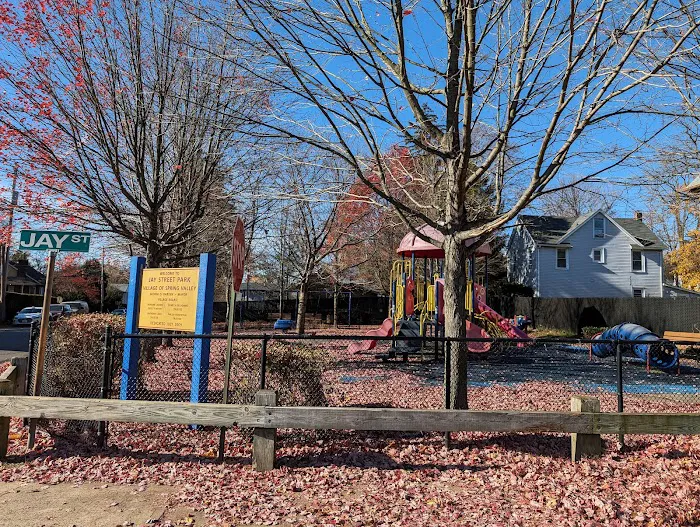 Jay Street Park Picture 1