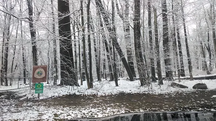Monsey Glen County Park Picture 4
