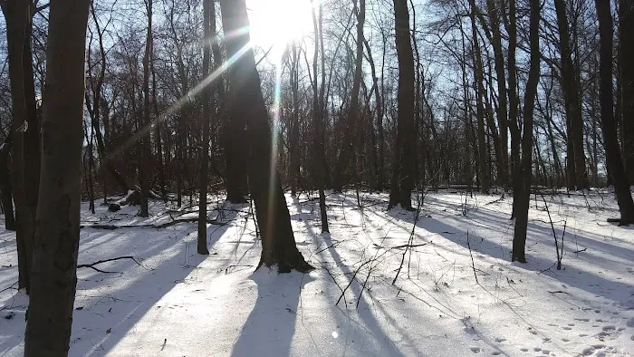 Monsey Glen County Park Picture 6