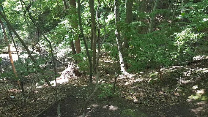 Monsey Glen County Park Picture 9