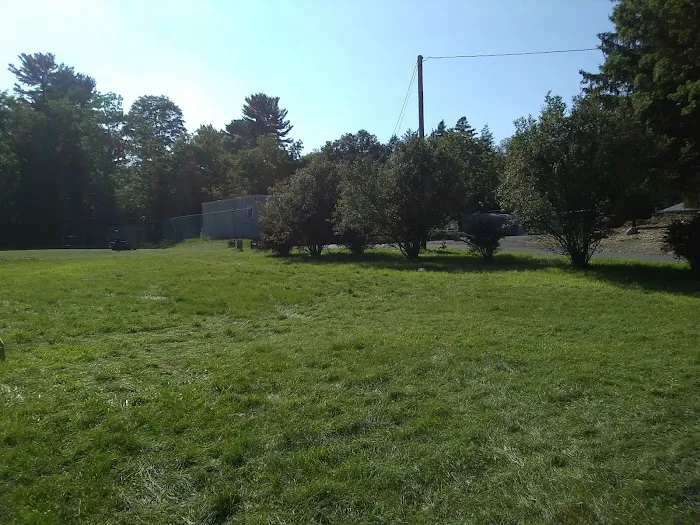 Camp Scuffy Picture 4