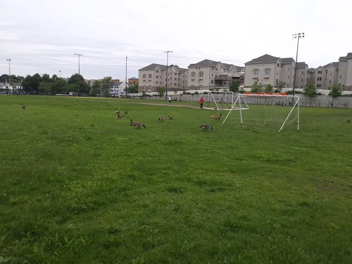 Spring Valley Parks & Rec Picture 9