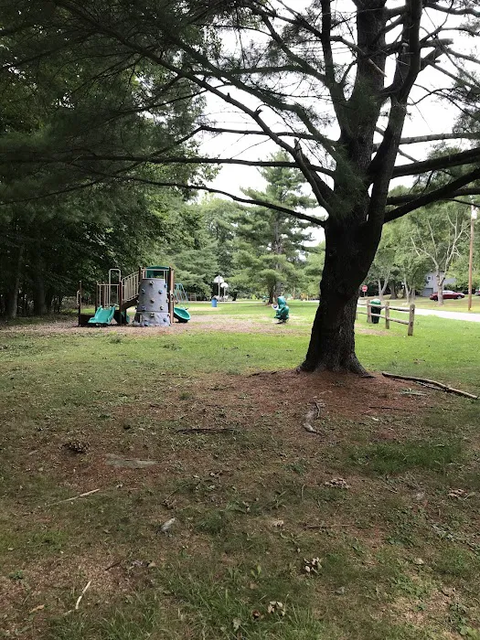 Lorna Lane Park Picture 8