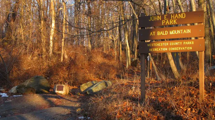Bald Mountain Picture 5