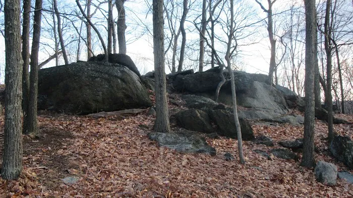 Bald Mountain Picture 8