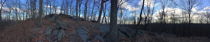 Bald Mountain Picture 6