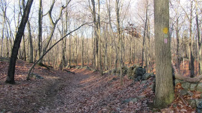 Bald Mountain Picture 3
